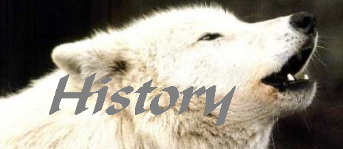 History of the Clan